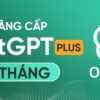 VN - ChatGPT Plus