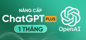 VN - ChatGPT Plus